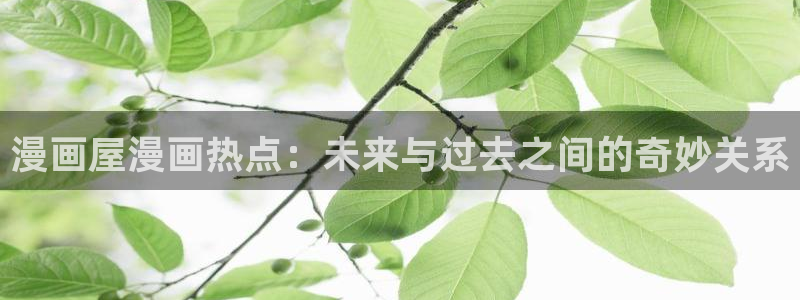 漫蛙漫画章节更新