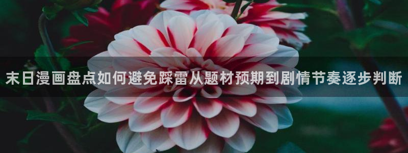 漫蛙漫画阅读网站